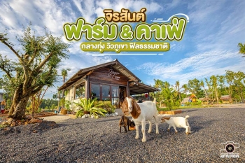 หาดใหญ่ | เปิดใหม่!! คาเฟ่วิวเขา ฟิลธรรมชาติ "Jirasan FARM & CAFE" จิบแฟ ให้อาหารแพะ