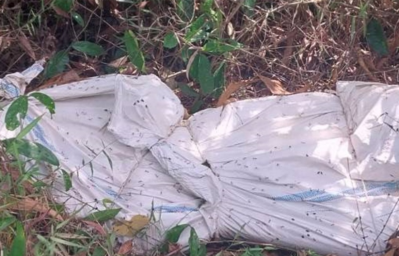 บางกล่ำ | สยองพบศพปริศนา ถูกฆ่ายัดกระสอบปุ๋ยสีขาวนำมาทิ้งในป่าคาดเสียชีวิตมาแล้วไม่ต่ำกว่า 5 วัน