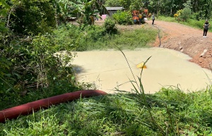 สะเดา | ตรวจสอบน้ำยางผสมแอมโมเนียเหตุรถบรรทุกเฉี่ยวชนลงคลอง ไม่พบการไหลล้นจากน้ำยางพาราลงสู่คลองอู่ตะเภา