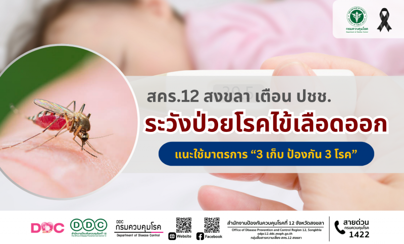 สงขลา l สคร.12 สงขลา เตือน ปชช. ระวังป่วยโรคไข้เลือดออก แนะใช้มาตรการ “3 เก็บ ป้องกัน 3 โรค”