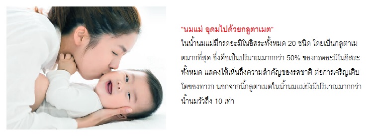 กลูตาเมตในนมแม่ – น้ำนมแม่ อุดมไปด้วยกลูตาเมต ที่มีกรดอะมิโนอิสระถึง 20 ชนิด โดยเป็นกลูตาเมตมากที่สุด