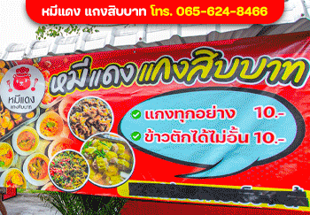 พิซซ่าสูตรโฮมเมด Alina pizza and halal food
